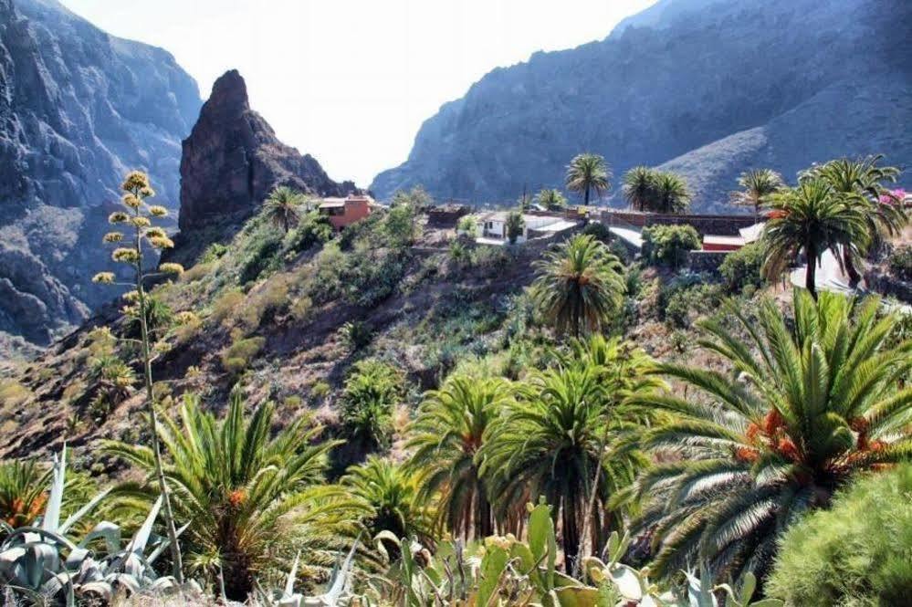 Eco Finca Vista Bonita San Miguel de Abona Extérieur photo